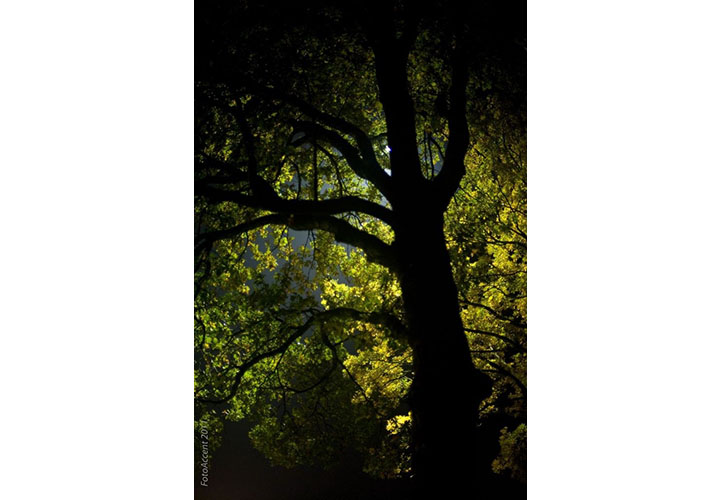 IMG_0141